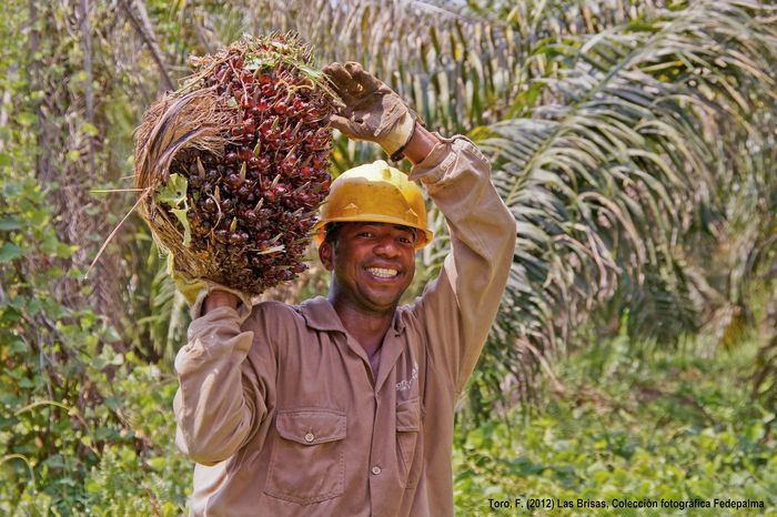 Clima extremo, biocombustíveis e a corrida pelo óleo vegetal