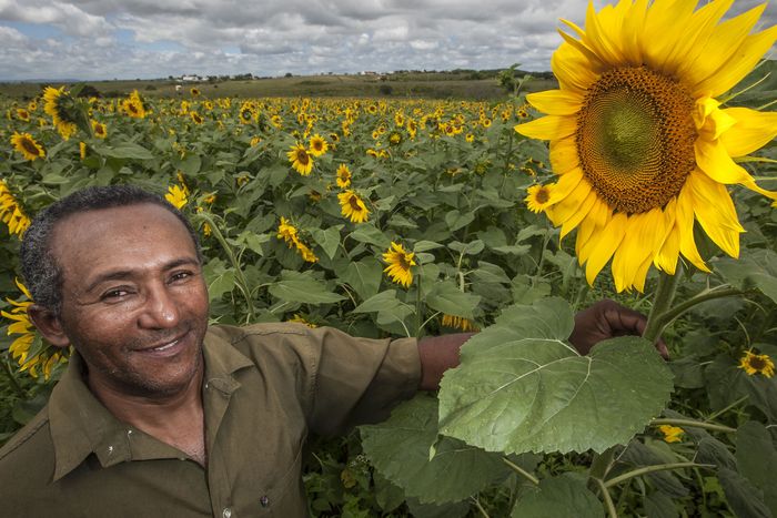 O que esperar do Selo Social em 2022? 