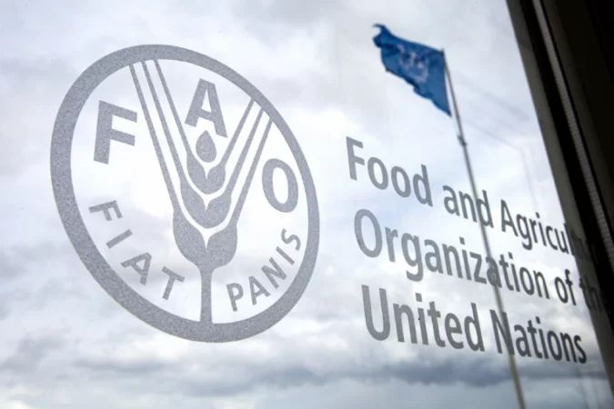 Óleos vegetais encerram sequência de 12 altas em junho, FAO