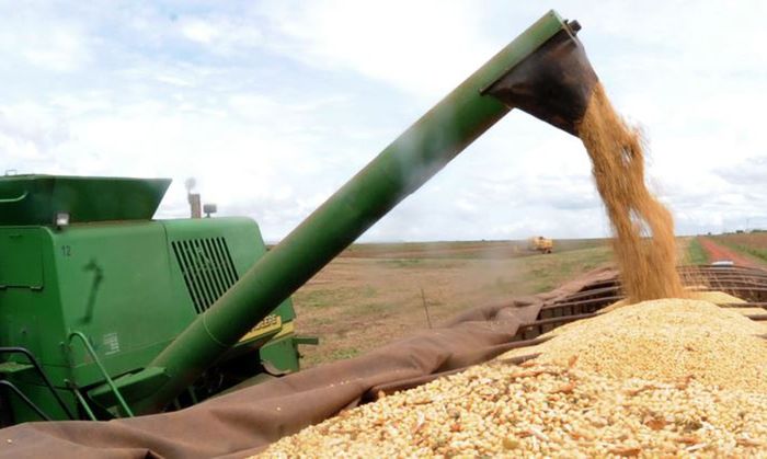 IBGE prevê safra recorde de 258,5 milhões de toneladas em 2021