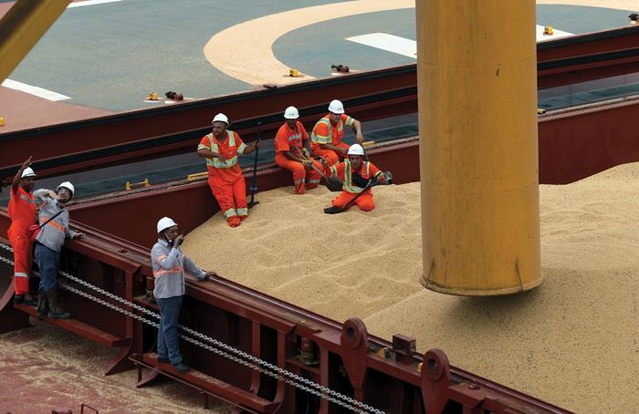 China deve comprar menos soja do que o esperado