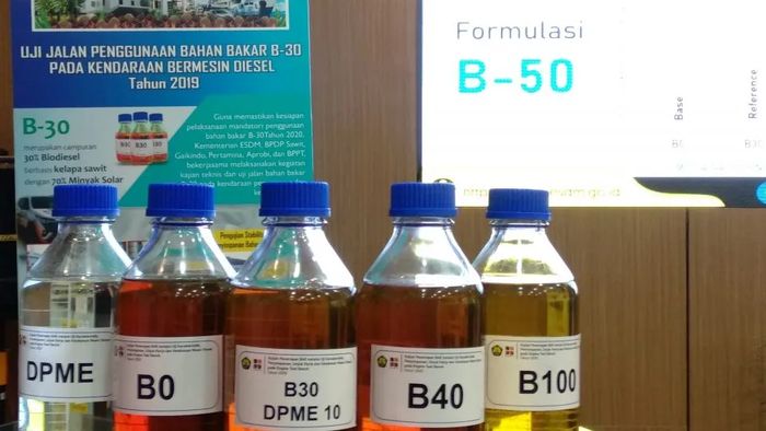 Preços do óleo de palma levam Indonésia a adiar B40