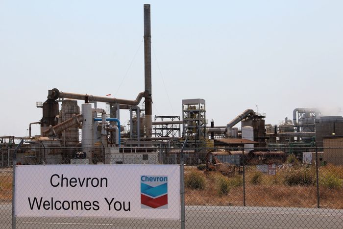 Chevron planeja investir US$600 mi em parceria com Bunge para diesel renovável