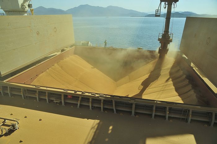 Em agosto, soja exportada atingiu maior valor em dólar em mais de 6 anos