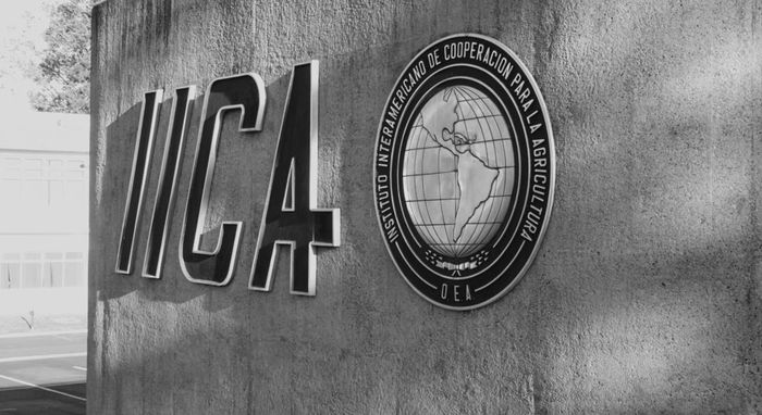 Consumo mundial de biocombustíveis deve se recuperar e crescer 8% este ano