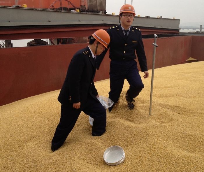Importações chinesas de soja do Brasil crescem 10,9% em agosto ante 2020