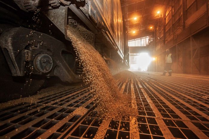 Interferência do governo no biodiesel chega ao emprego