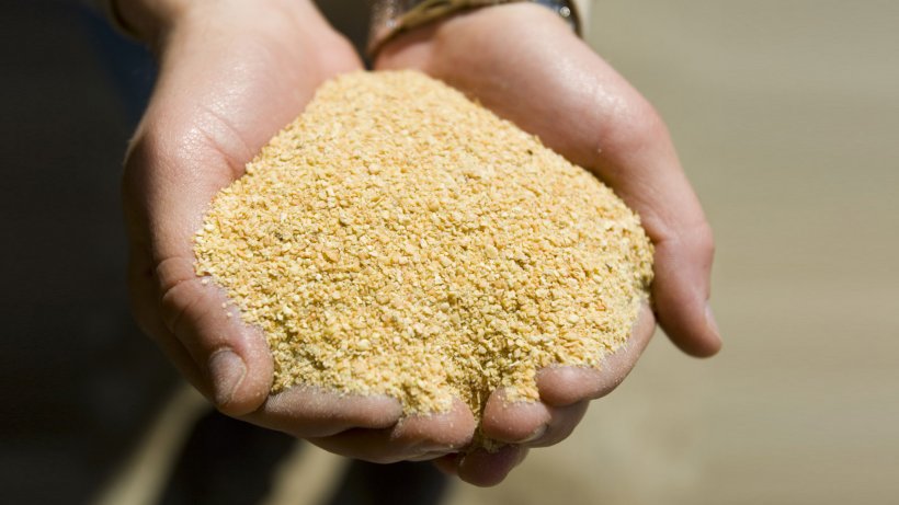 ABPA prevê menor oferta de farelo de soja e alta de preços com decisão sobre biodiesel