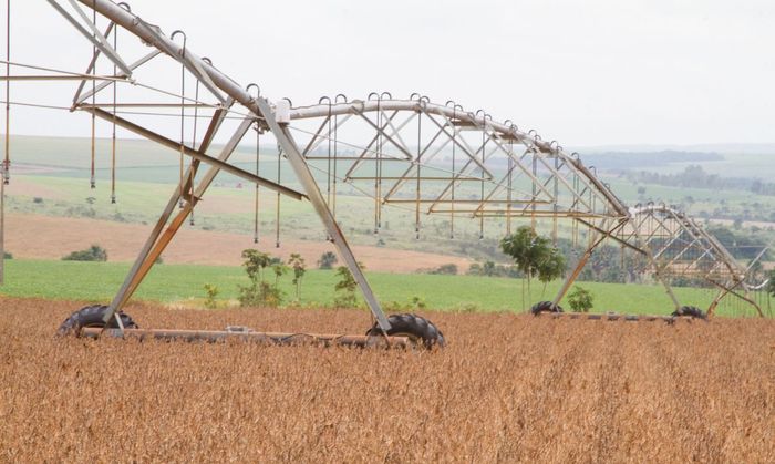 Conab vê safra maior de soja e eleva exportação após corte no biodiesel
