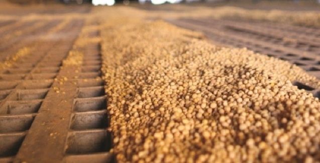 Indústria de biodiesel quer mudanças nas regras do Renovabio em 2022