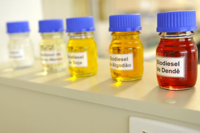 UFRJ e Macofren estão desenvolvendo teste para medir gliceróis no biodiesel