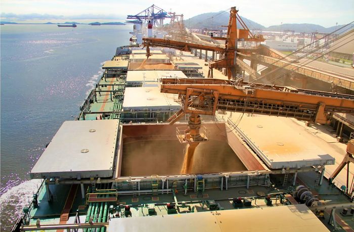 Exportações de soja superaram a marca dos 86 milhões de toneladas em 2021