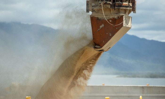 Exportações de soja em grão abrem ano novo aquecidas