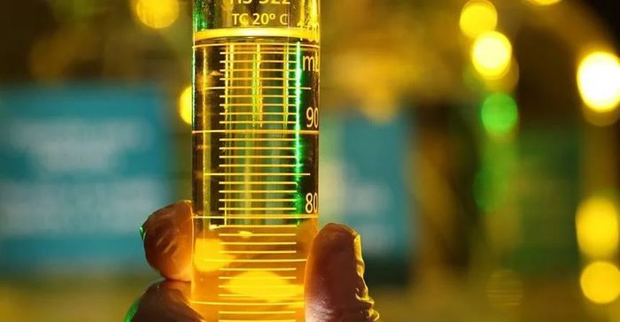 Preço médio dos CBios fica acima de R$ 80 na primeira quinzena de fevereiro