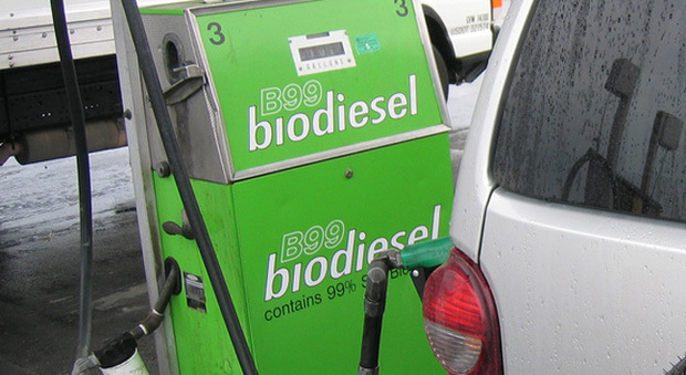 Alemanha consumiu 2,86 milhões de m³ de biodiesel e HVO no ano passado