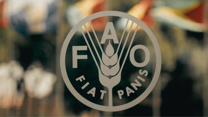 Mercado global de óleos vegetais renova máxima em fevereiro