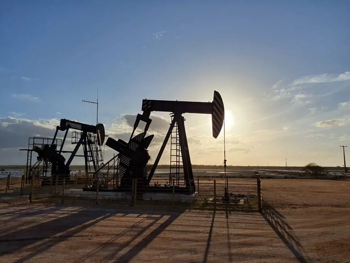 Petróleo é negociado acima de US$ 125; bolsas europeias sobem