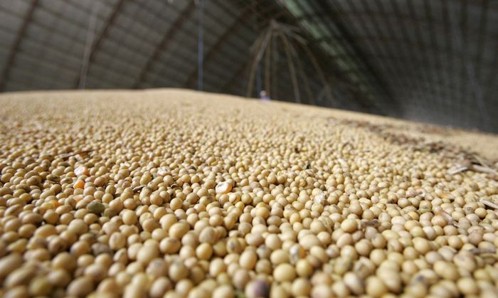 ANP apresenta esquema para aumentar biocombustíveis de grãos no RenovaBio 