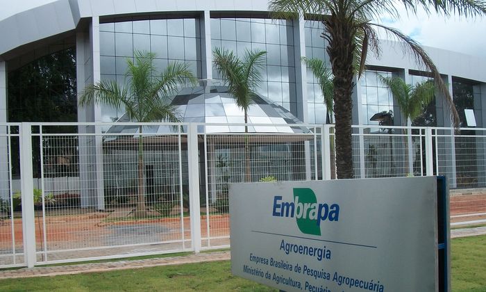 Embrapa Agroenergia explica RenovaBio a representantes do USDA 