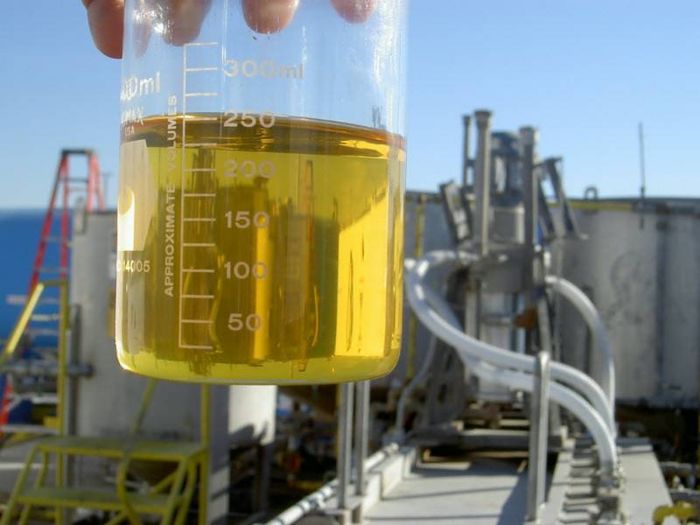 Governo precisa se preparar para aumentar mistura de biodiesel