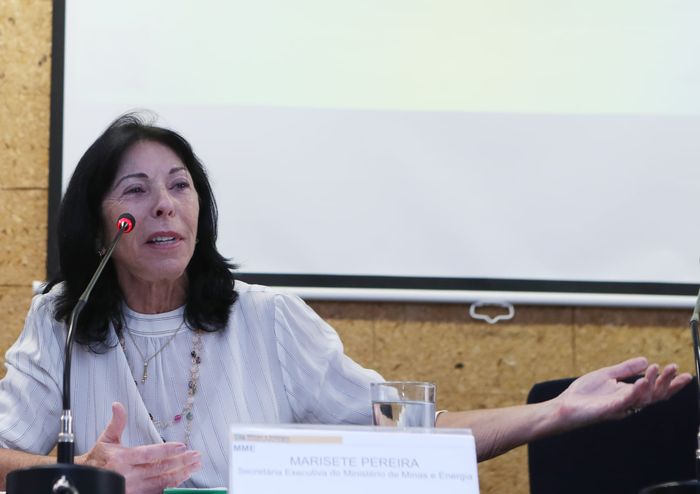Representantes do setor vão se reunir com a secretária-executiva do MME