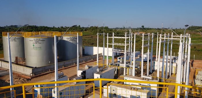 Óleo de palma na Amazônia: energia sustentável ou risco de desmatamento?