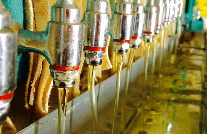 Exportações de óleo de soja aumentam 83,5% em março