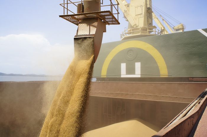 China: importação de soja cai 18,2% em março, para 6,35 milhões de toneladas