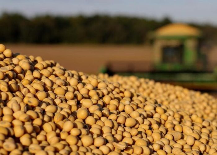 Processamento de soja cresce e bate recorde no 1° bimestre