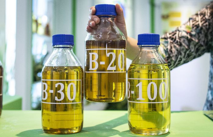 Indonésia fabricou 2,74 milhões de m³ de biodiesel no 1º trimestre