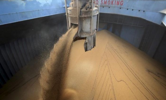 Brasil tenta abrir mercado chinês para farelo de soja nacional