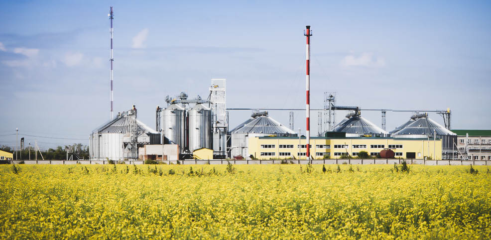 EUA produzem 6,88 bilhões de litros em 2020