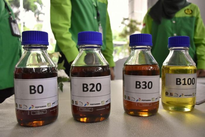 Indonésia avalia alta da mistura obrigatória de óleo de palma no biodiesel para 35%
