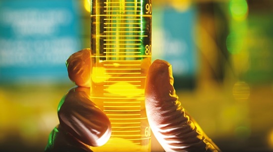 Créditos de carbono transferem renda do consumidor para o produtor, dizem críticos