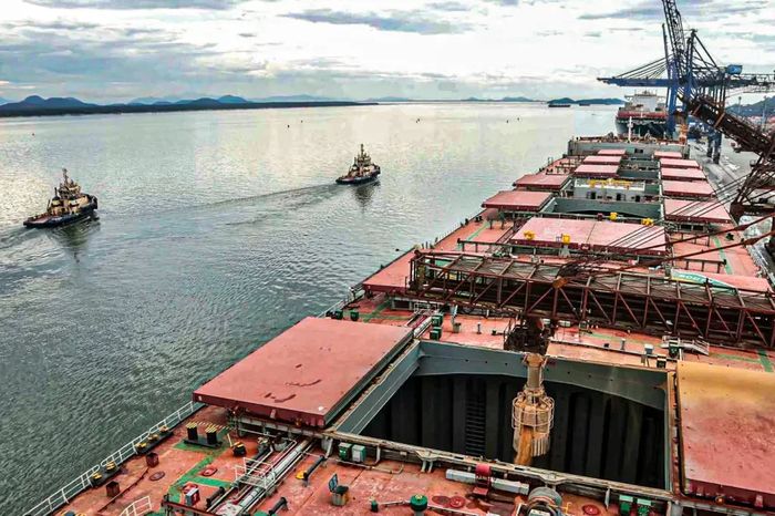 Exportações de soja em grão ficam 7,7% menores no 1º semestre 