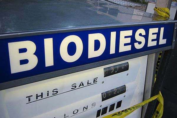 Demanda de diesel de biomassa avançou 20% na Alemanha no 1T 