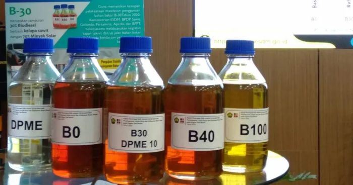 B40 na Indonésia pode absorver 2,5 milhões de toneladas de óleo de palma