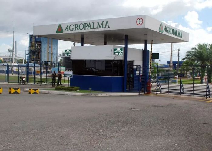 Agropalma se prepara para voltar ao setor de biodiesel 