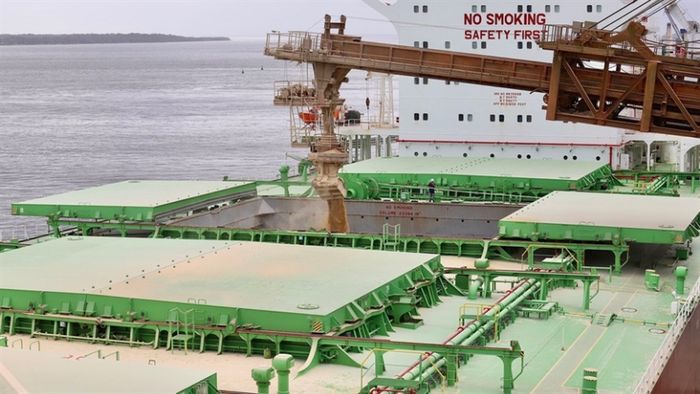 Exportação de soja no mês de julho cai a 7,5 milhões de toneladas