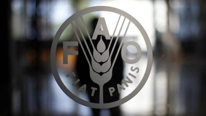 Preço dos óleos vegetais recua 19% em apenas um mês
