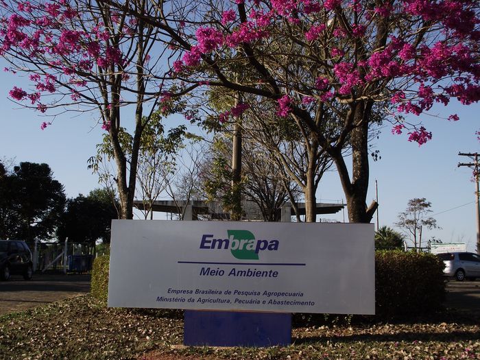 Ferramenta da Embrapa mensura pegada de carbono de produtos agropecuários em nível municipal