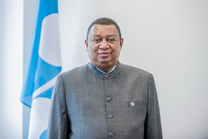 Opep vê capacidade ociosa de produção de petróleo abaixo dos padrões históricos