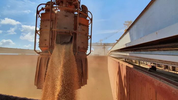Brasil exportou 6,1 milhões de toneladas de soja em agosto 