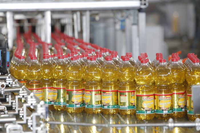Capacidade da indústria de esmagamento ultrapassa marca da 200 mil t/d 