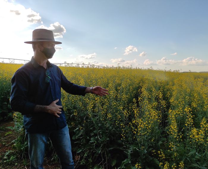 Escala é o grande desafio para diversificar matérias-primas para biodiesel, diz pesquisador da Embrapa