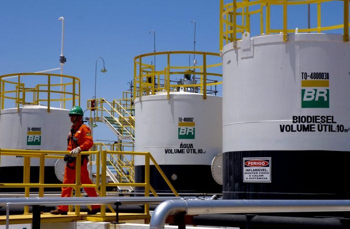 Bioenergia emprega 3,44 milhões de trabalhadores no mundo