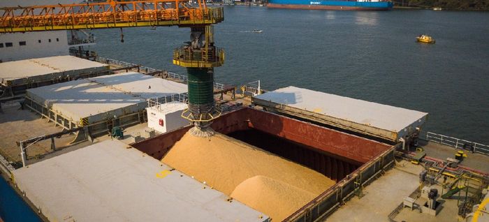 Exportações de soja caem 11% em setembro
