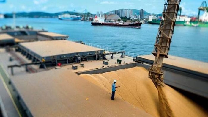 Importações de soja pela China saltam em setembro após baixa dos estoque