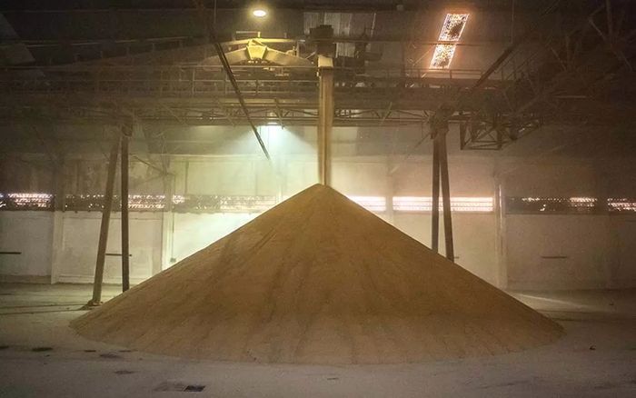 Demanda aquecida mantém preço da soja elevado e setor projeta novo recorde