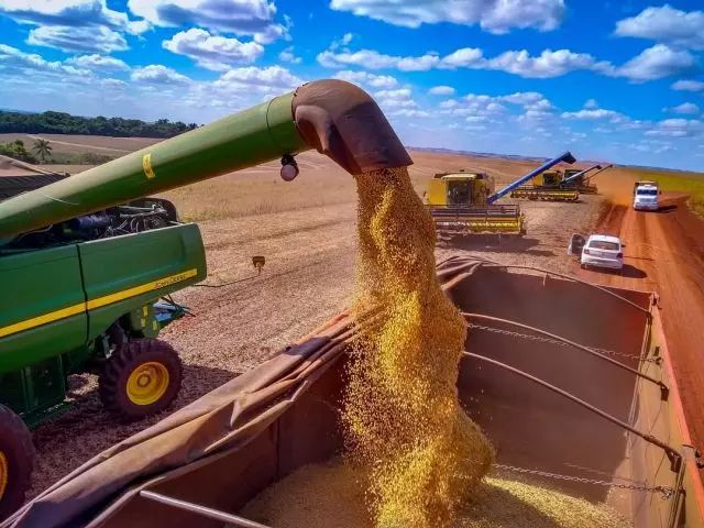 Manifestação de caminhoneiros trava mercado da soja no Brasil